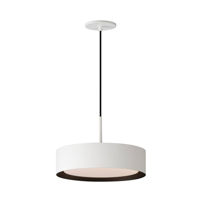 Echo LED Pendant Light in White/Black (13-Inch).