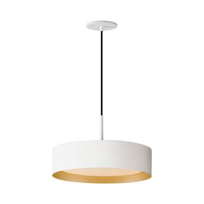 Echo LED Pendant Light in White/Gold (16-Inch).