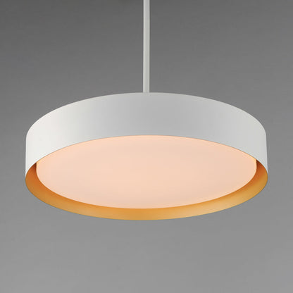 Echo LED Pendant Light in Detail.