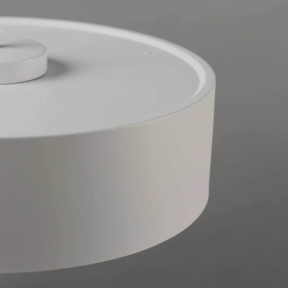 Echo LED Pendant Light in Detail.