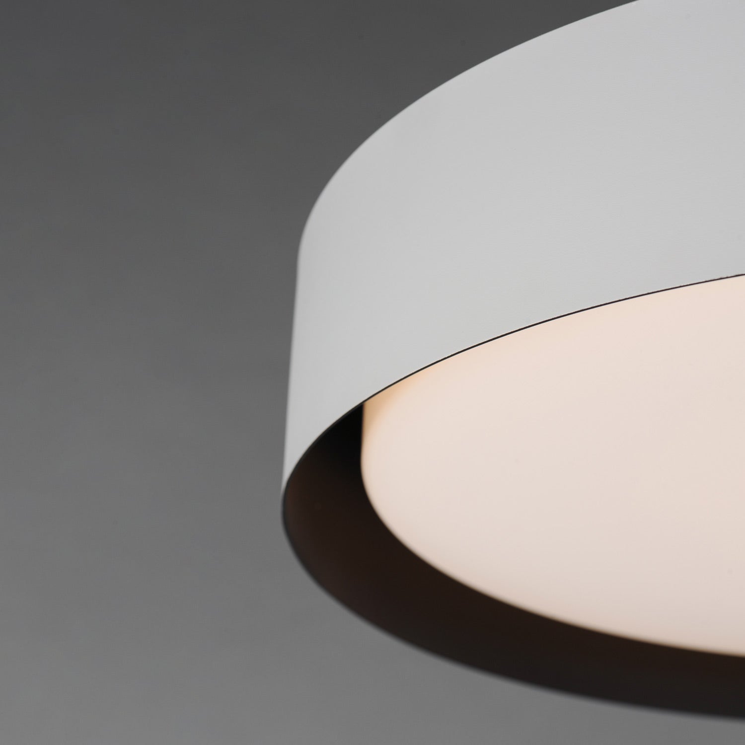 Echo LED Pendant Light in Detail.