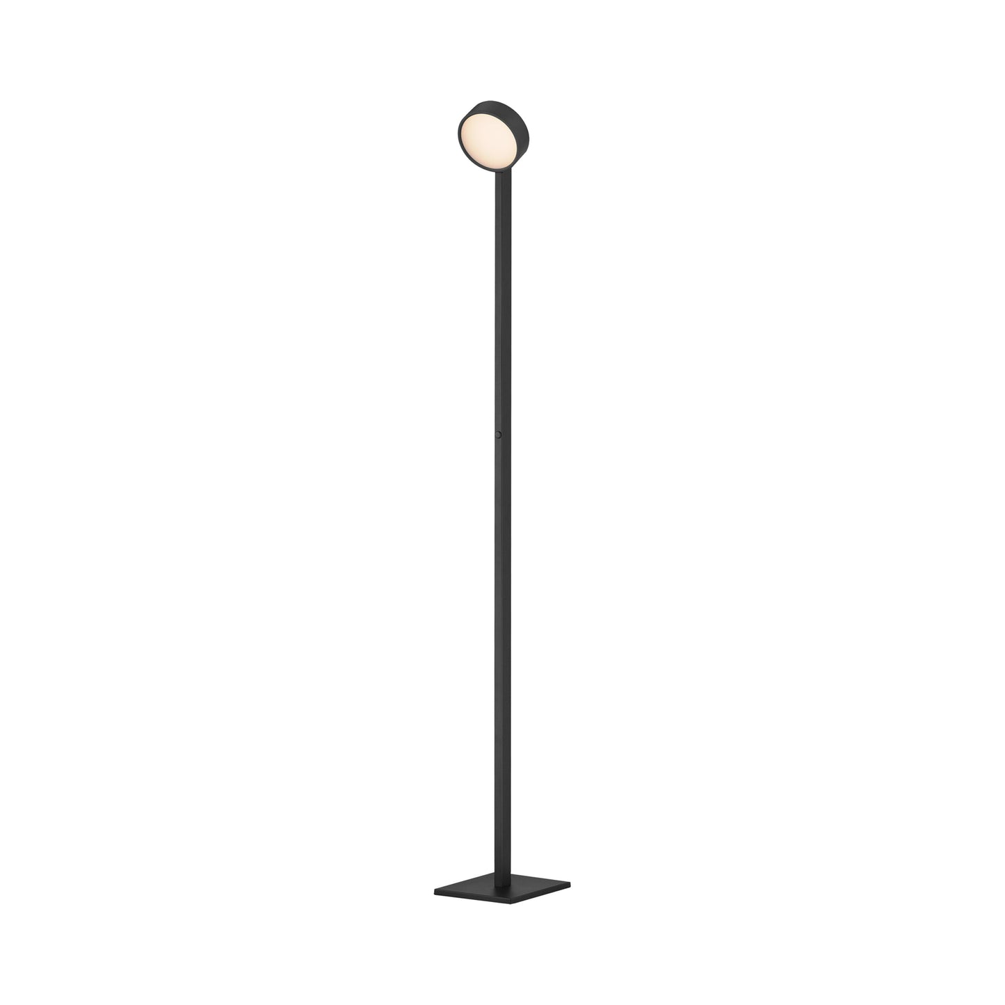 Embrace LED Floor Lamp.
