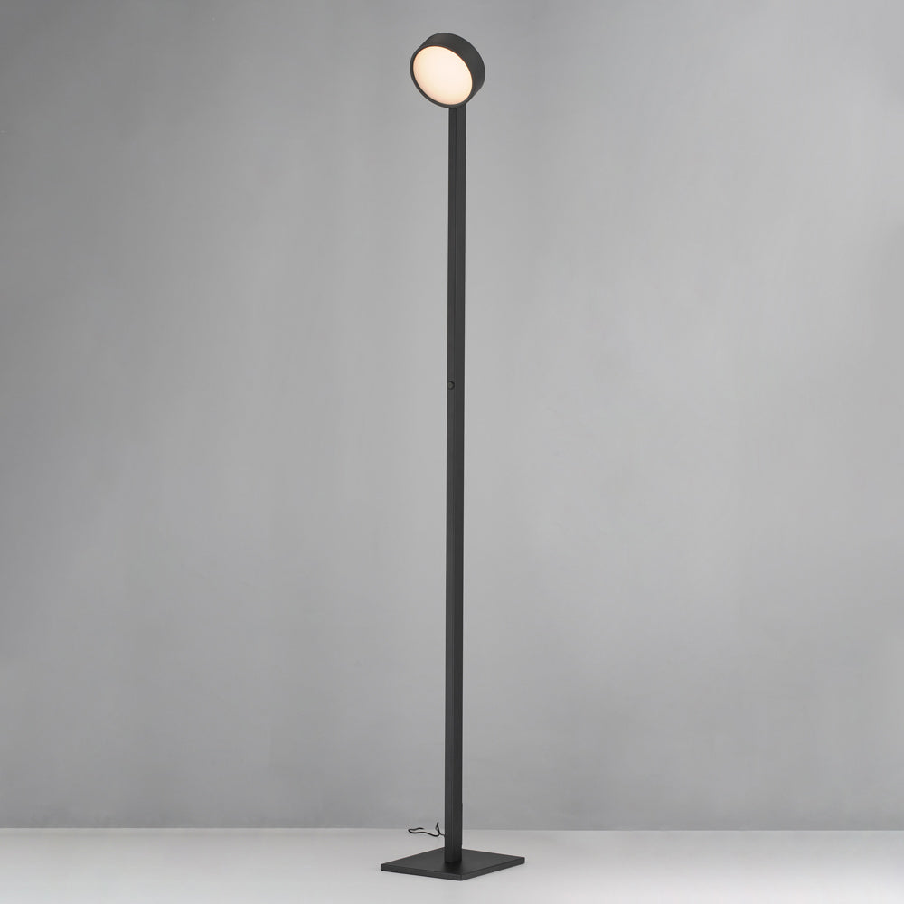 Embrace LED Floor Lamp in Detail.