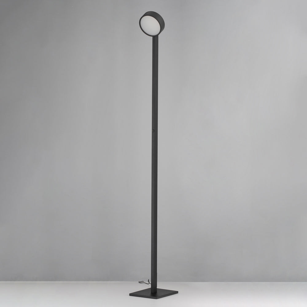 Embrace LED Floor Lamp in Detail.