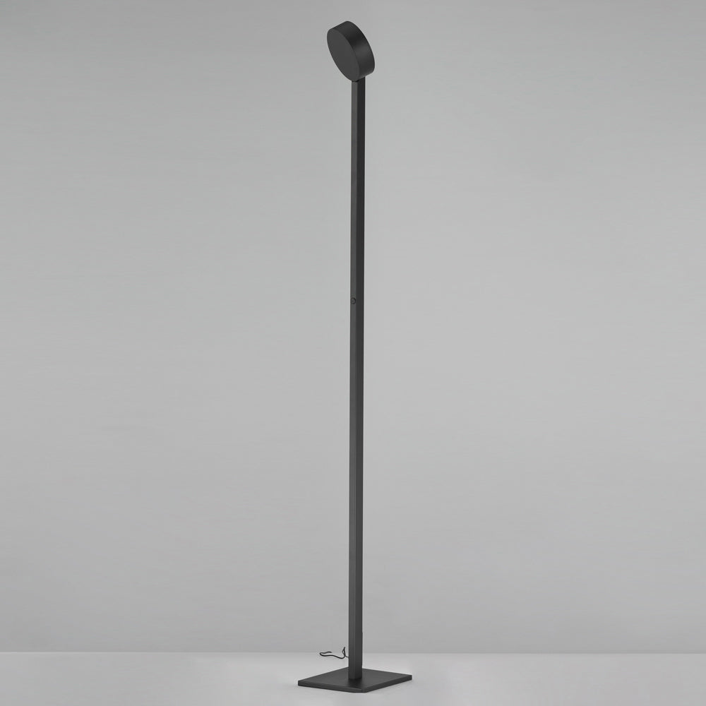 Embrace LED Floor Lamp in Detail.