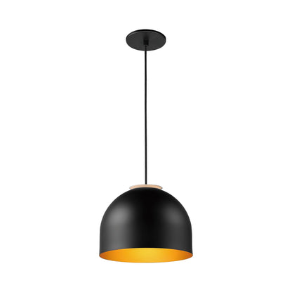 Foster Pendant Light.