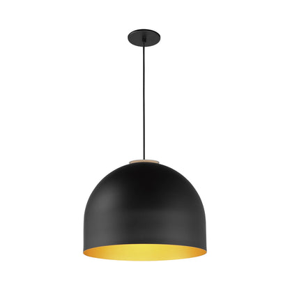 Foster Pendant Light in Black/Gold (Medium).