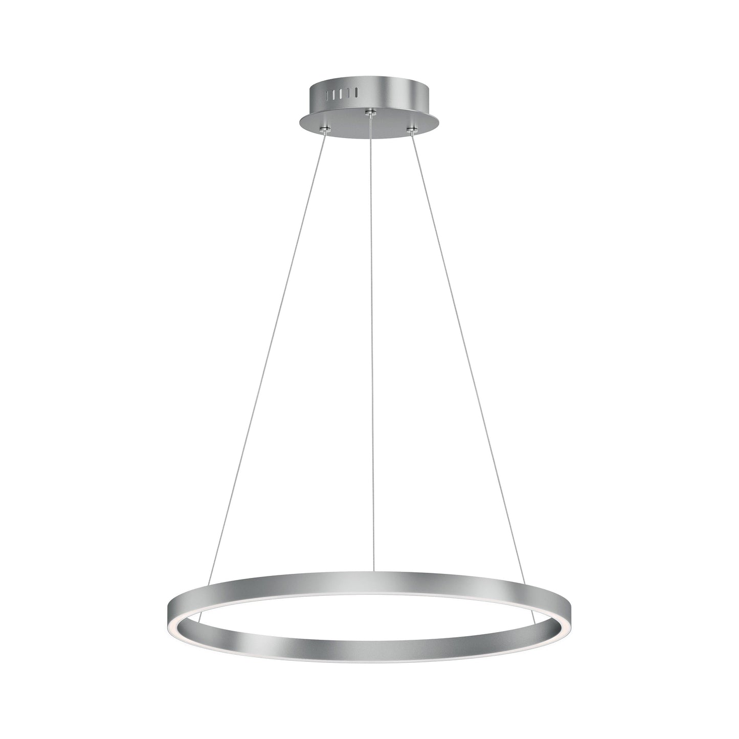 Groove LED Pendant Light in Brushed Aluminum (24-Inch).