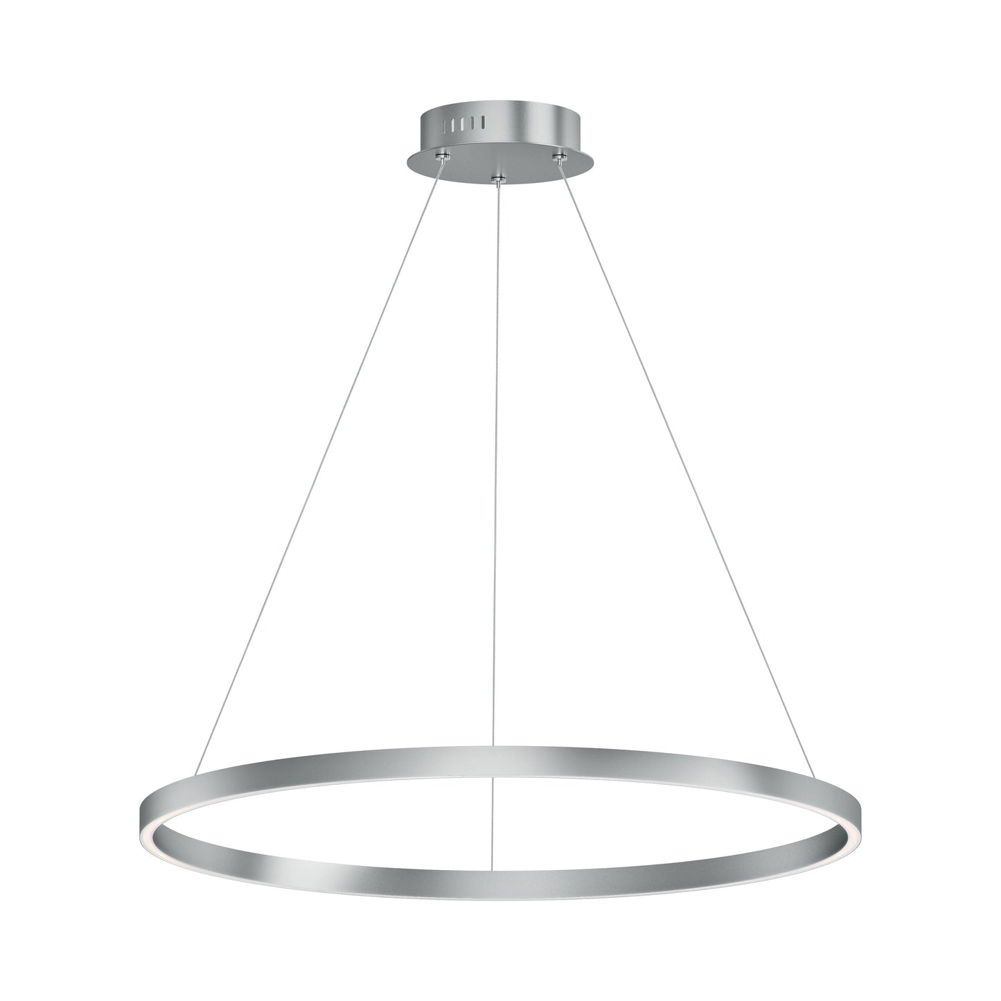 Groove LED Pendant Light in Brushed Aluminum (31.5-Inch).
