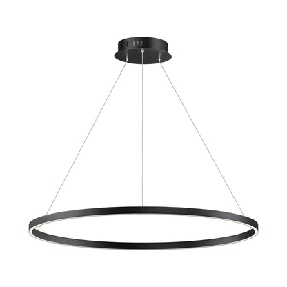 Groove LED Pendant Light in Black (40-Inch).