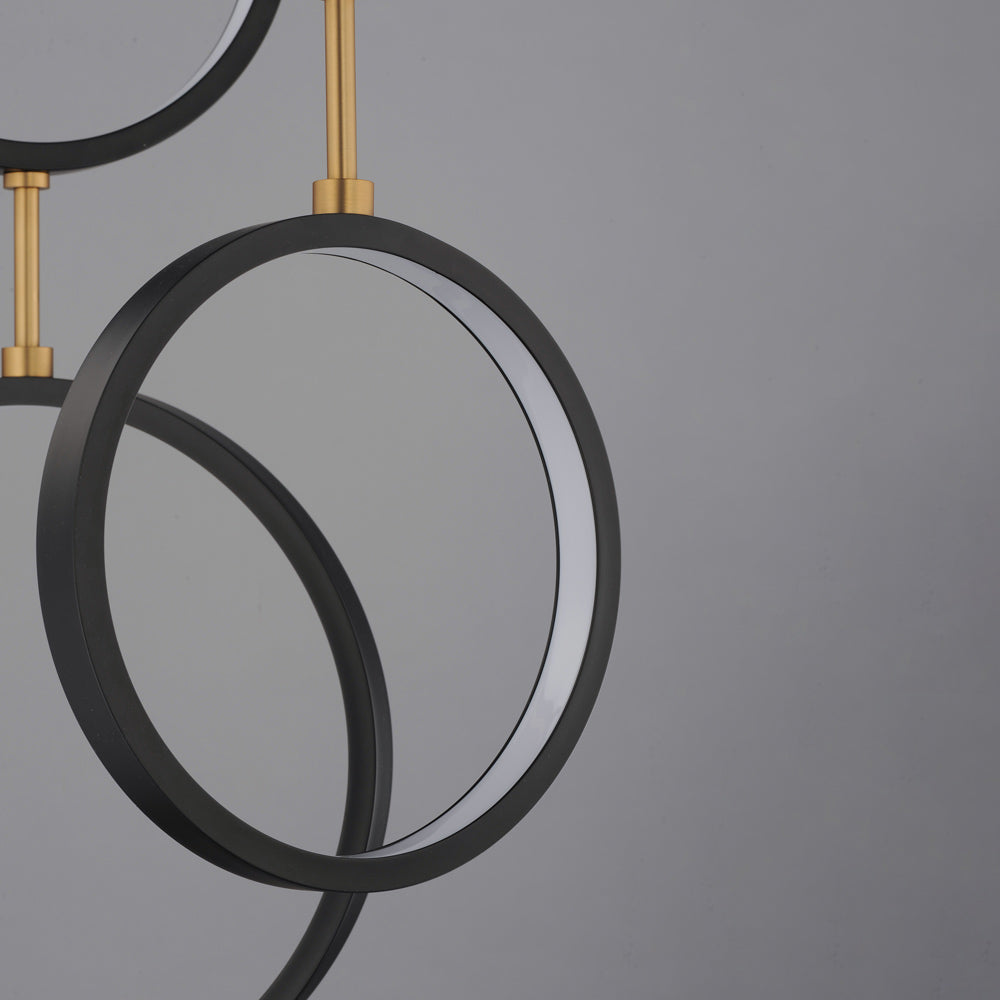 Hoopla LED Ring Pendant Light in Detail.