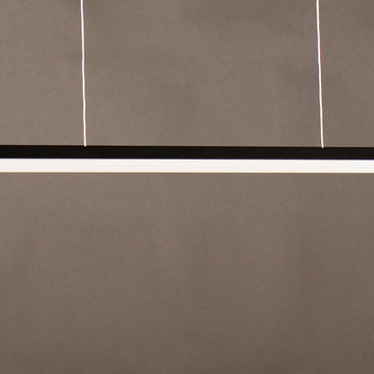 Hoops LED Linear Pendant Light in Detail.