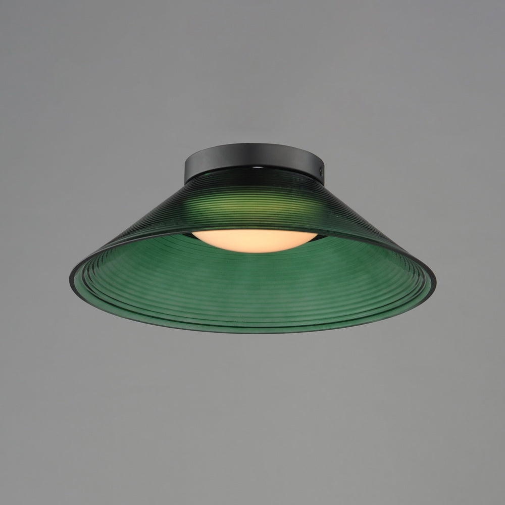 Jensen LED Ceiling / Wall Light in Detail.