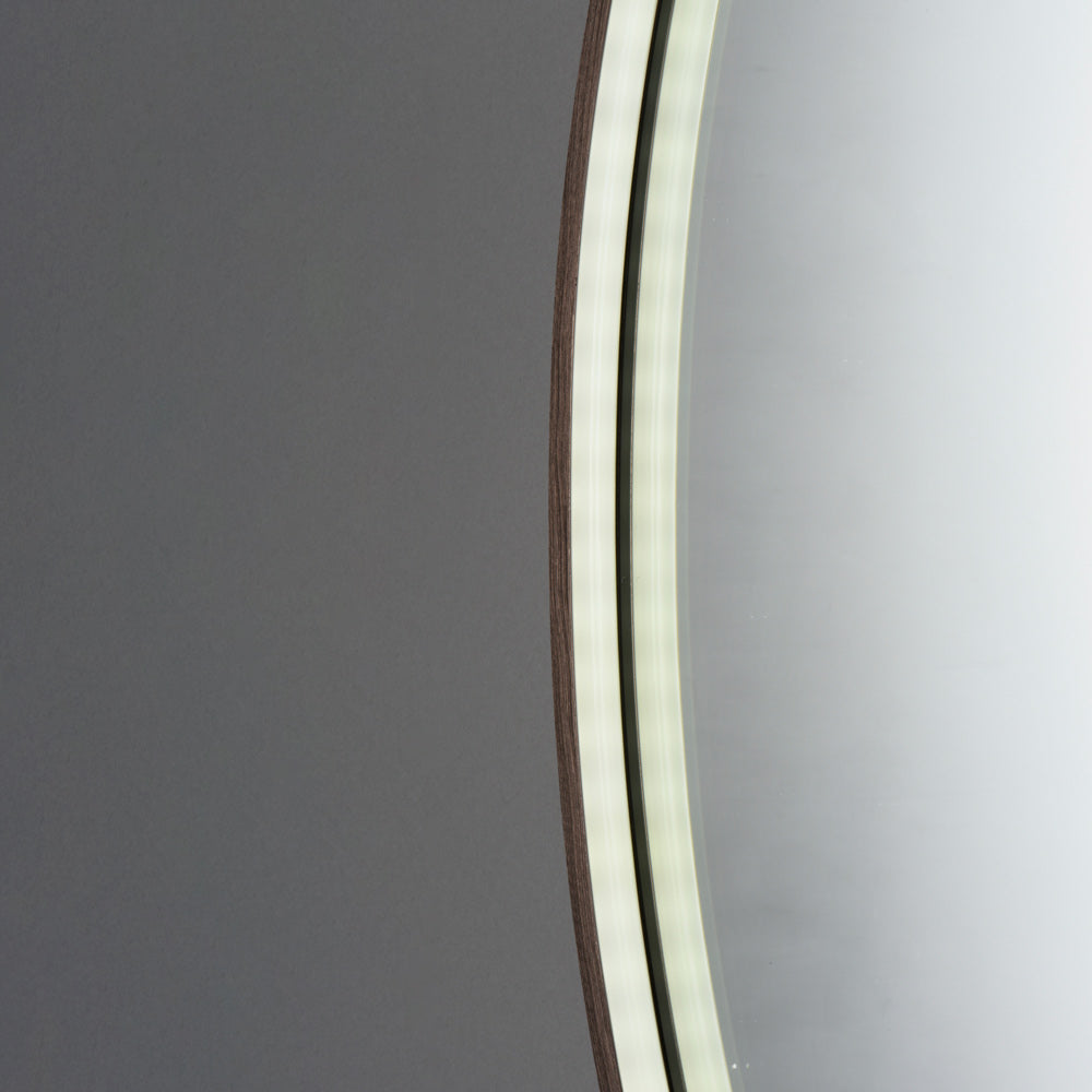 Mirror Oval LED Wall Mirror in Detail.
