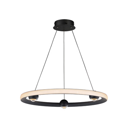 Nodes LED Pendant Light in Black (24-Inch).
