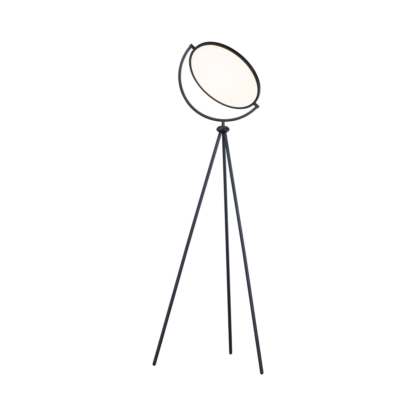 Paddle LED Floor Lamp.