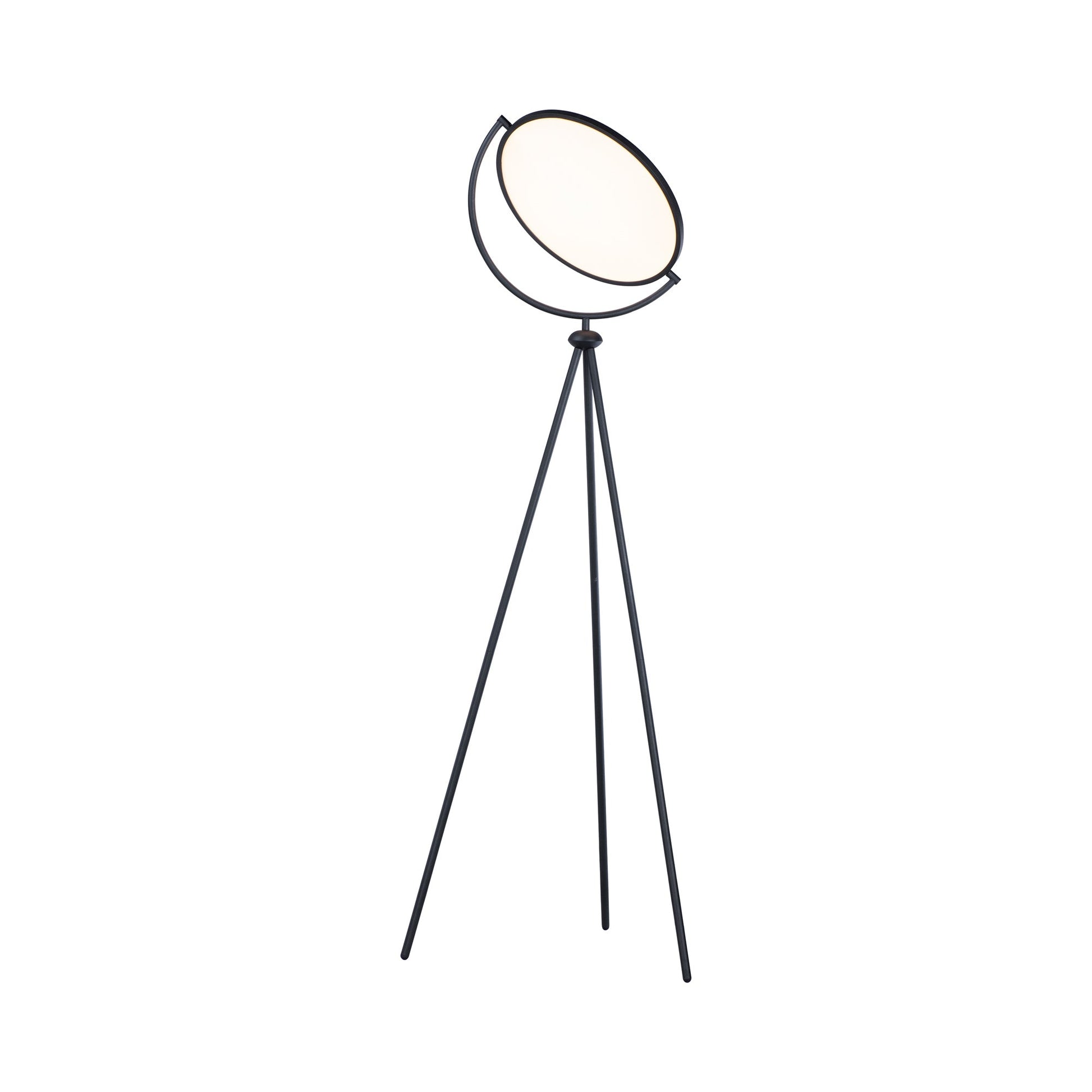 Paddle LED Floor Lamp.