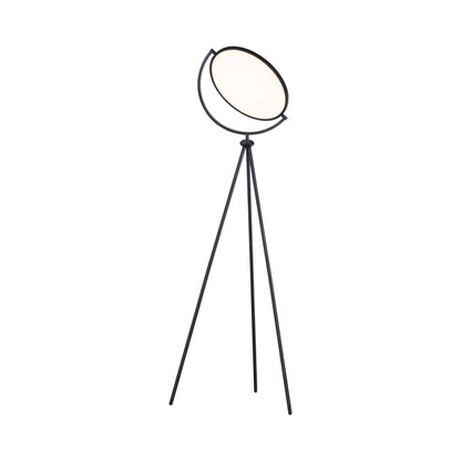 Paddle LED Floor Lamp.