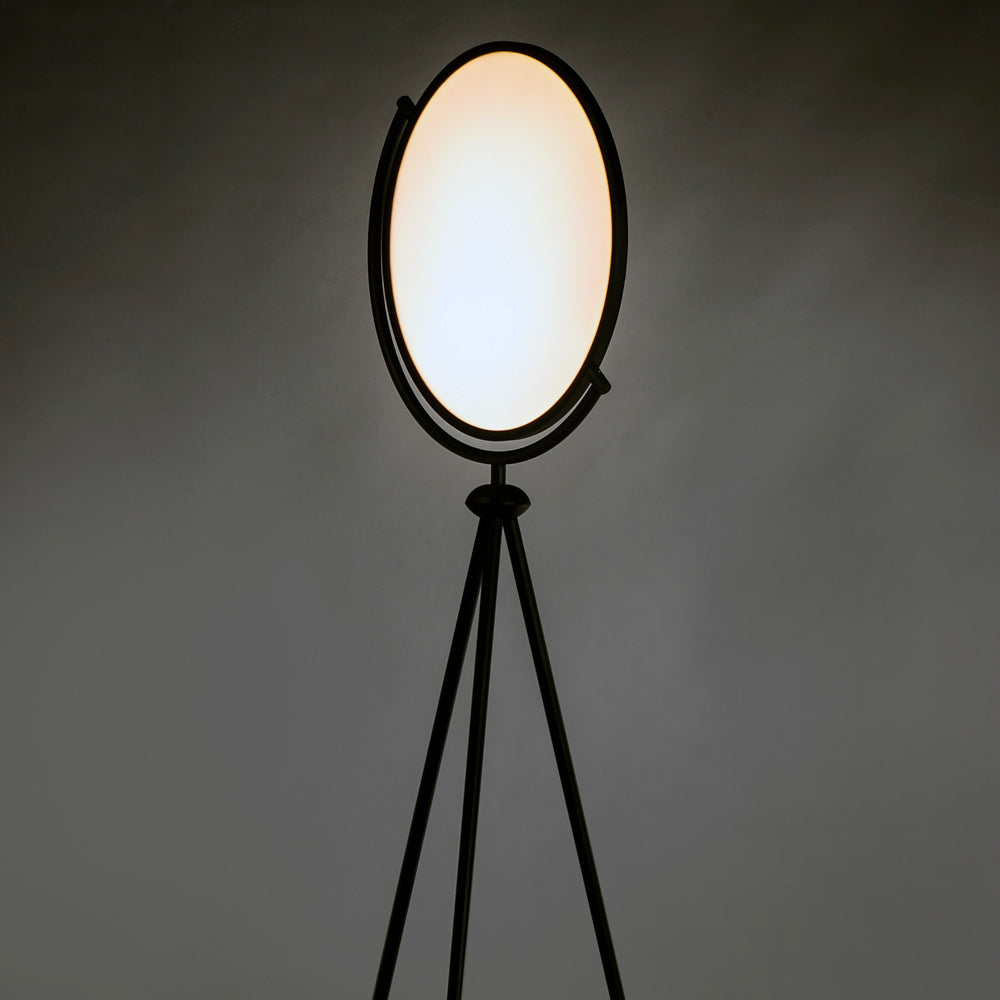 Paddle LED Floor Lamp in Detail.