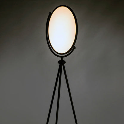 Paddle LED Floor Lamp in Detail.