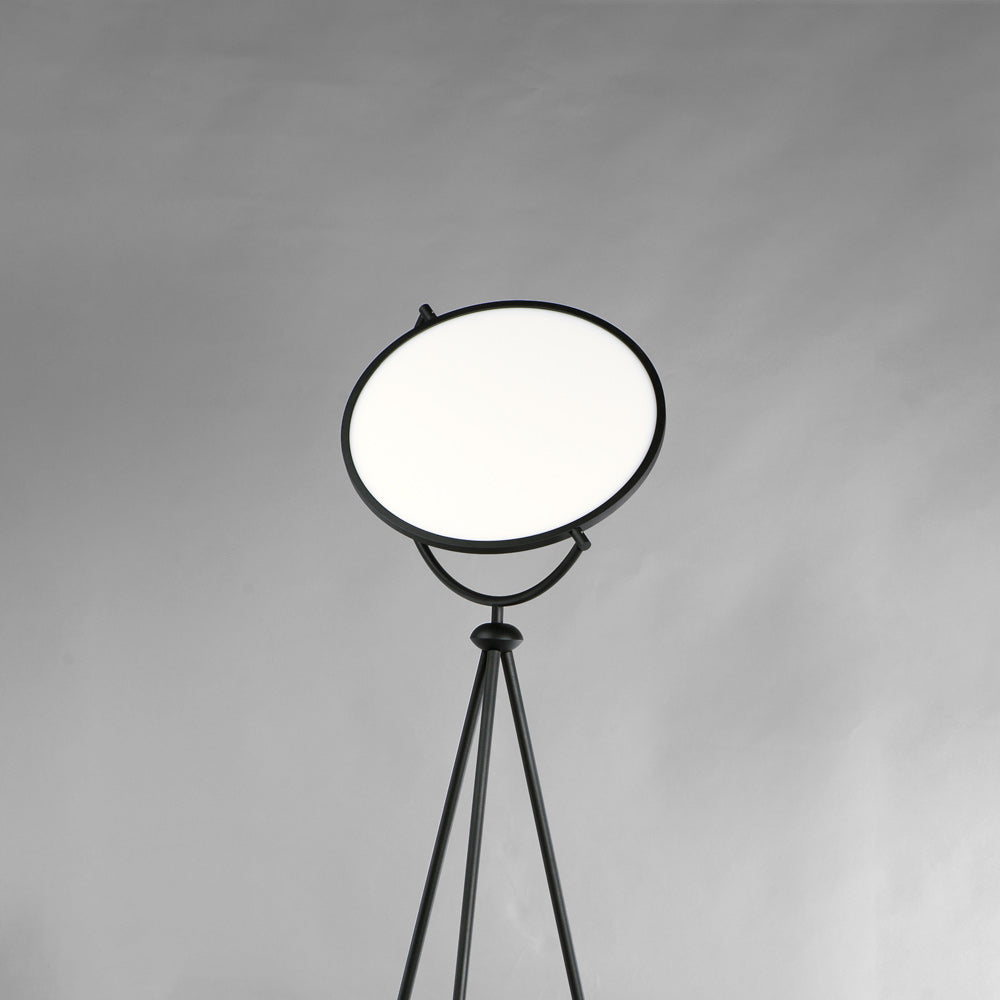 Paddle LED Floor Lamp in Detail.