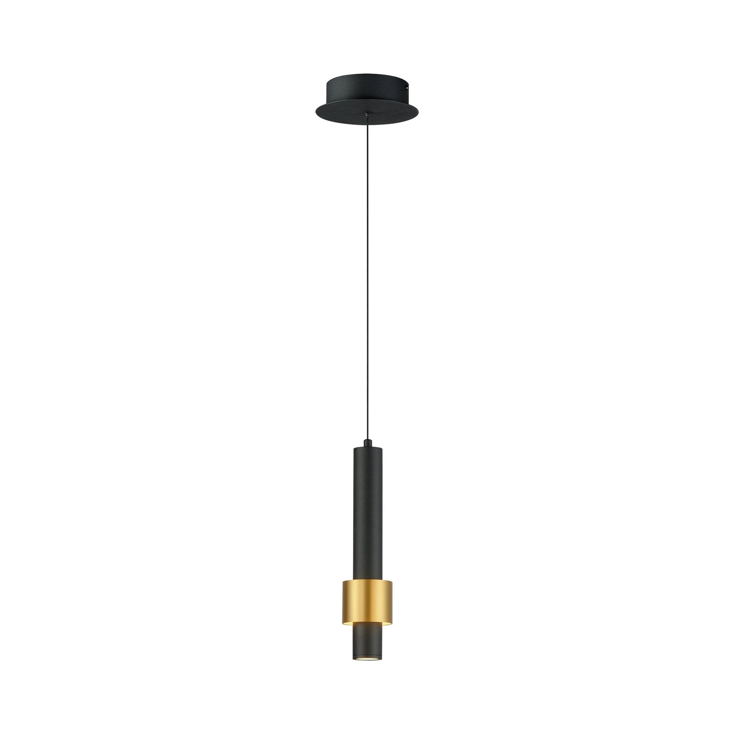 Reveal LED Pendant Light in Black/Gold.