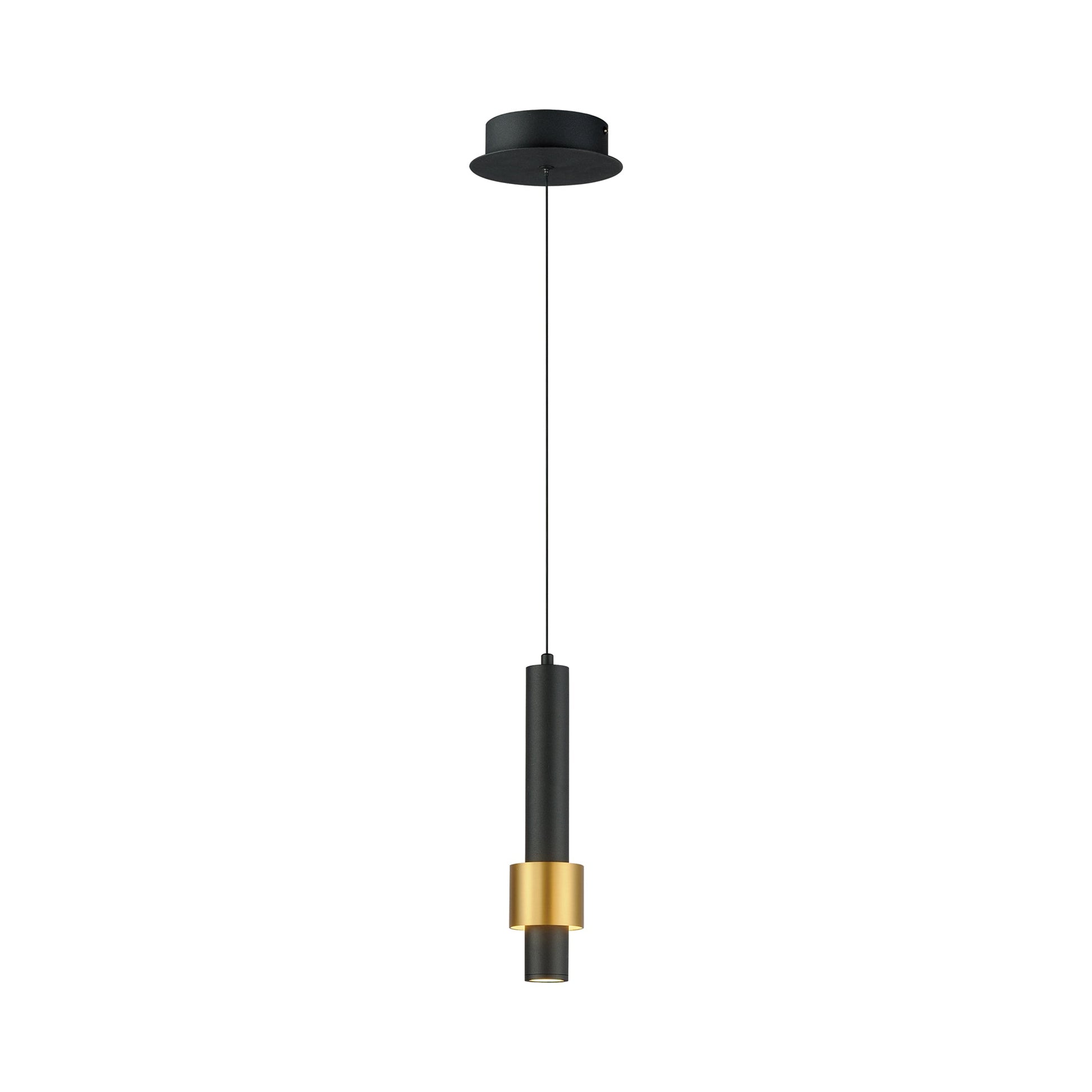 Reveal LED Pendant Light in Black/Gold.