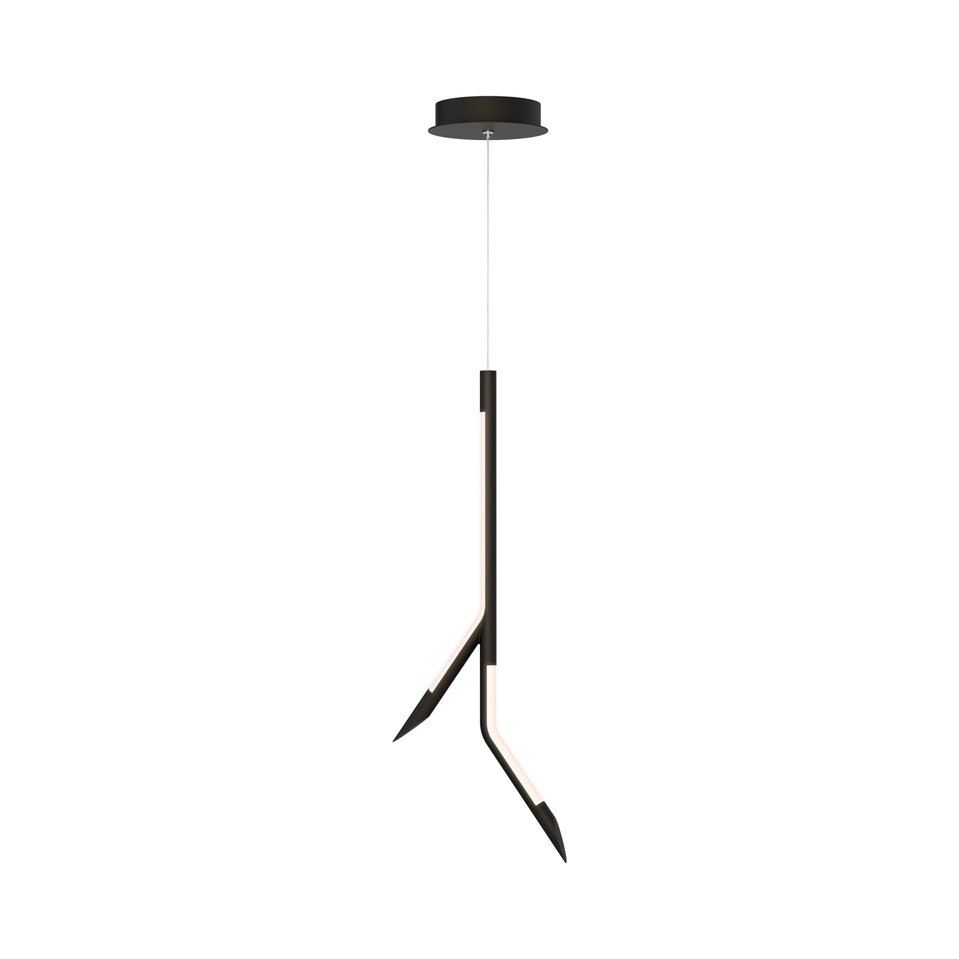 Scion LED Pendant Light in Black.
