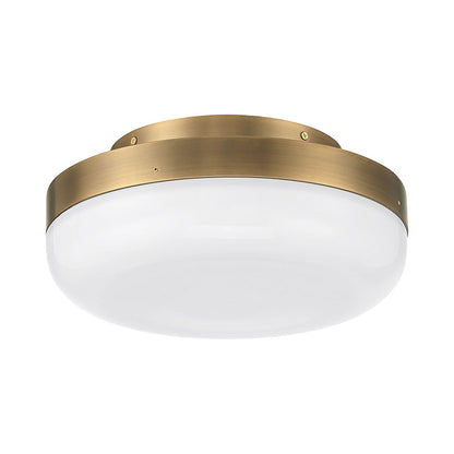 Clayton LED Flush Mount Ceiling Light in Detail.