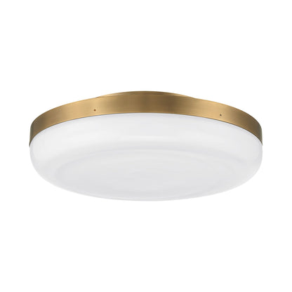 Clayton LED Flush Mount Ceiling Light in Detail.