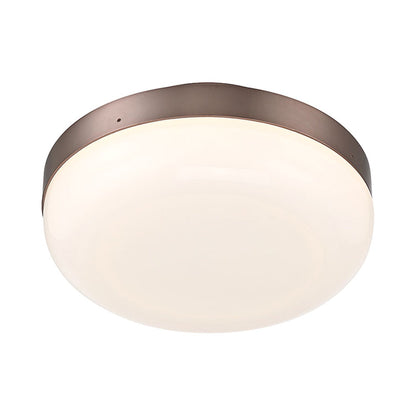 Clayton LED Flush Mount Ceiling Light in Detail.