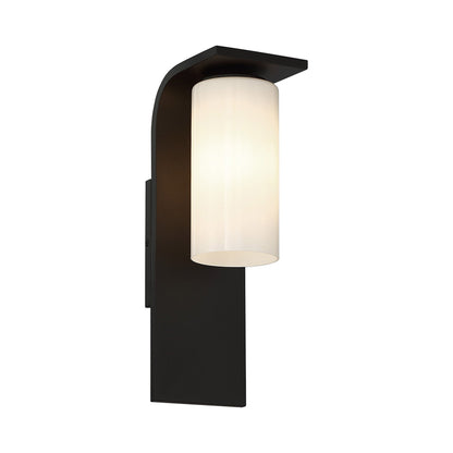 Colonne Outdoor Wall Light (20-Inch).