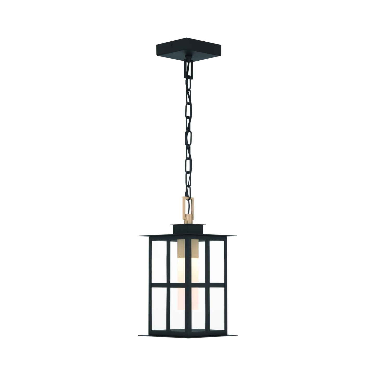 Greyson Outdoor LED Pendant Light in Detail.