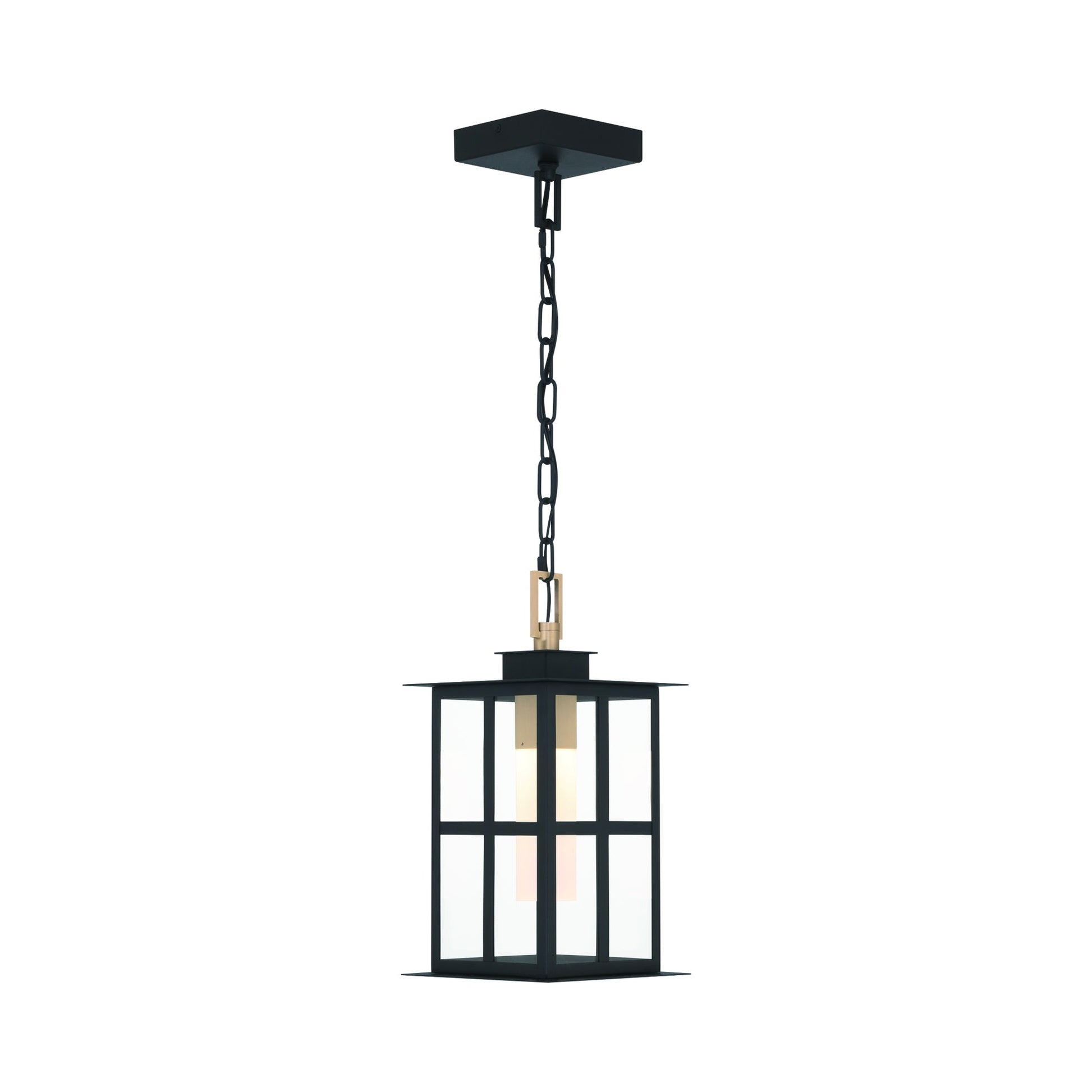 Greyson Outdoor LED Pendant Light in Detail.
