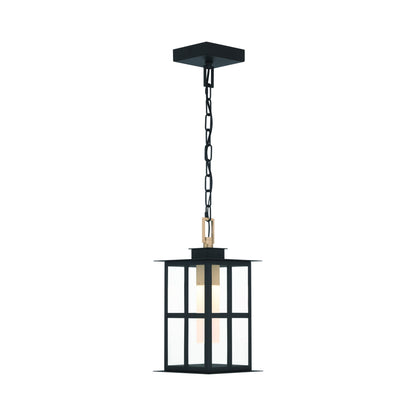 Greyson Outdoor LED Pendant Light in Detail.