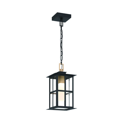 Greyson Outdoor LED Pendant Light in Detail.