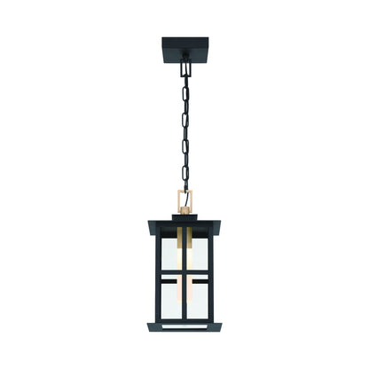 Greyson Outdoor LED Pendant Light in Detail.