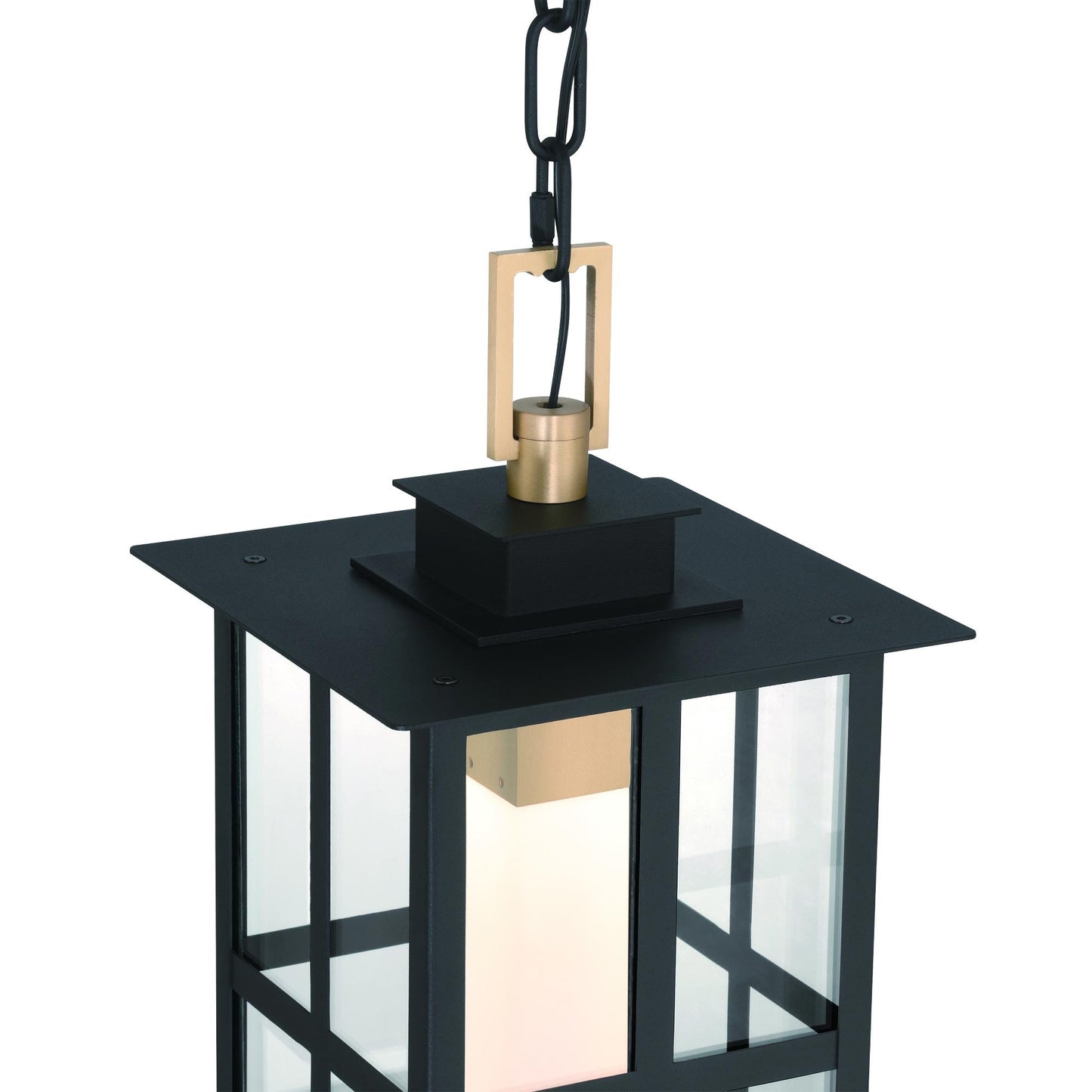 Greyson Outdoor LED Pendant Light in Detail.