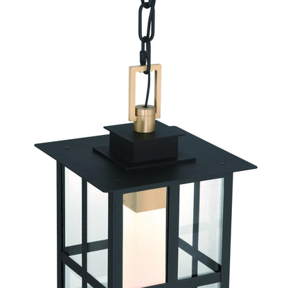 Greyson Outdoor LED Pendant Light in Detail.