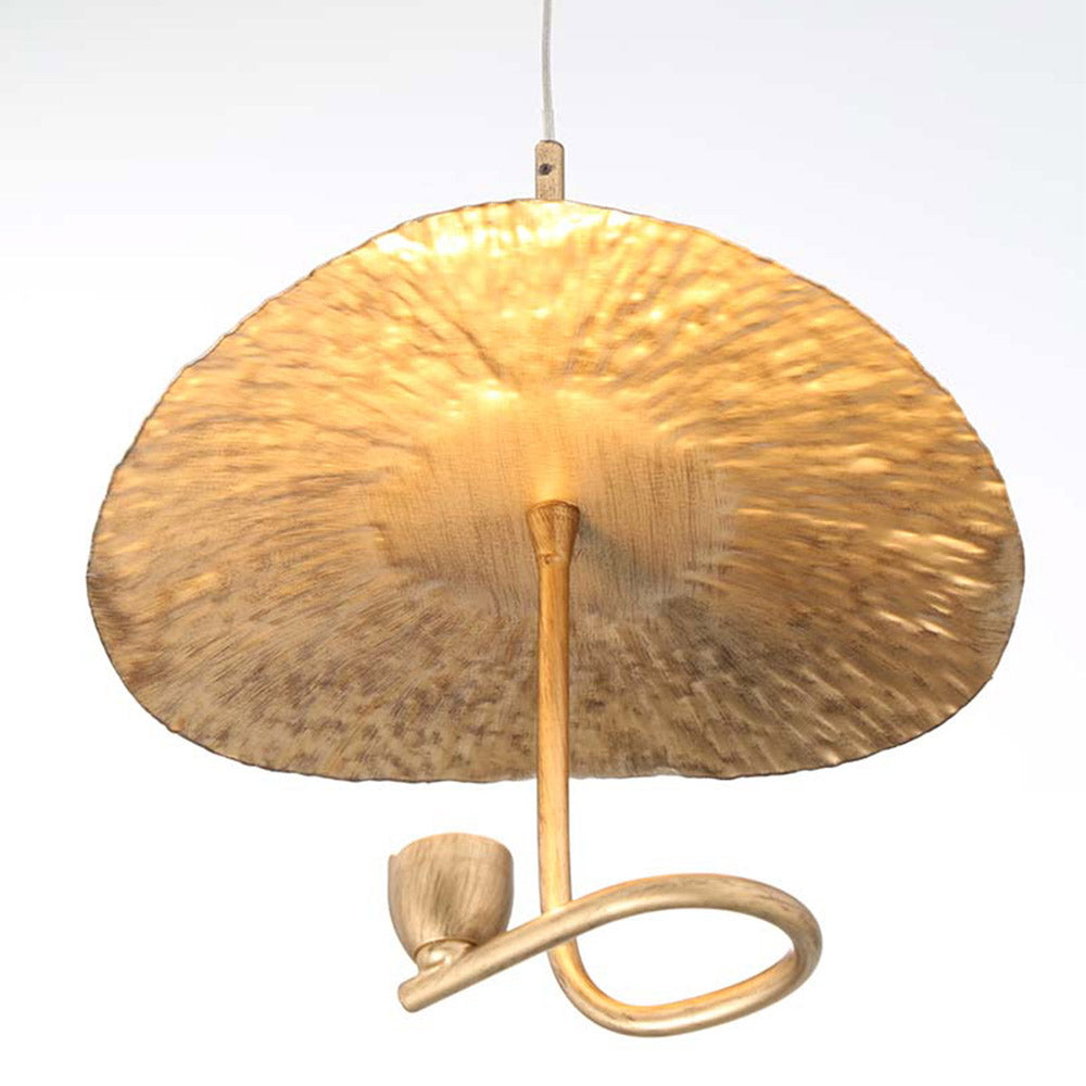 Lagatto LED Pendant Light in Detail.