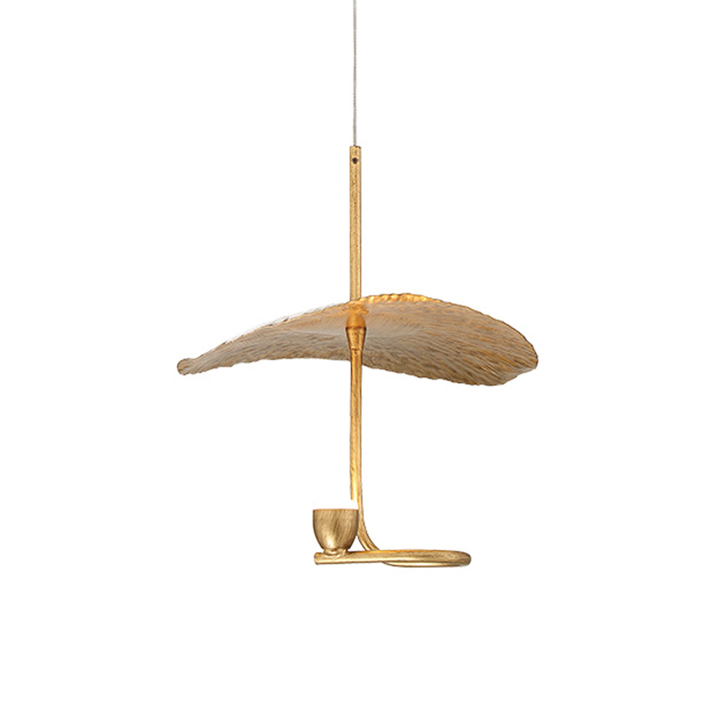 Lagatto LED Pendant Light in Detail.
