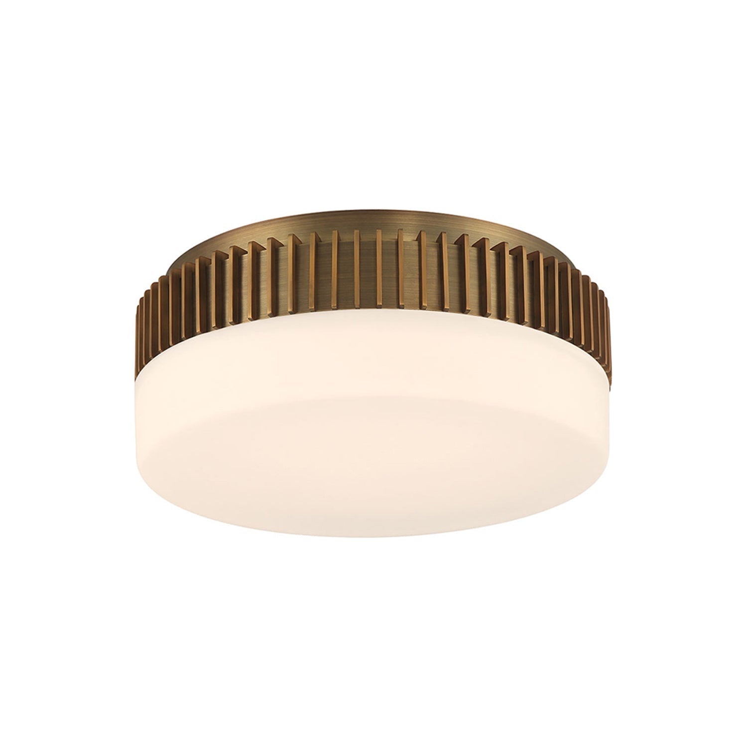 Purgos LED Flush Mount Ceiling Light.