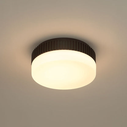 Purgos LED Flush Mount Ceiling Light in Detail.