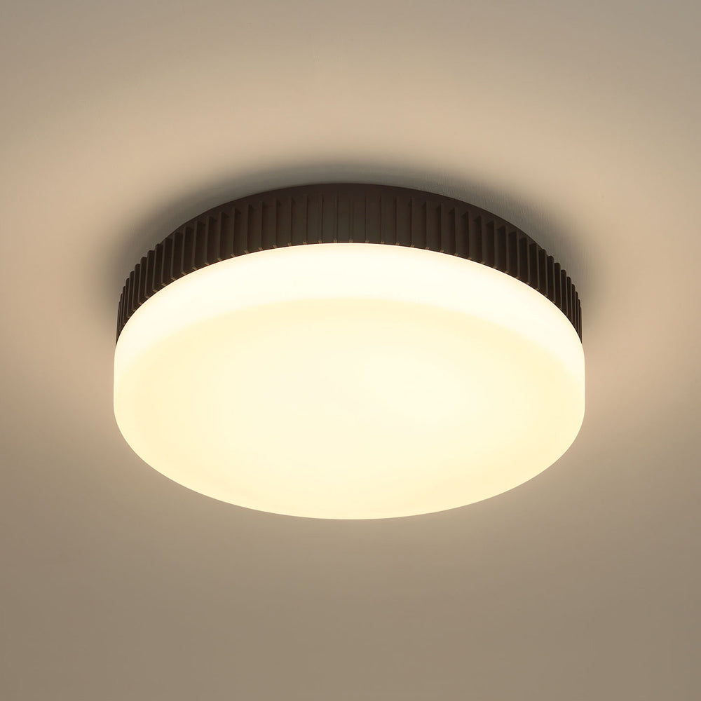 Purgos LED Flush Mount Ceiling Light in Detail.