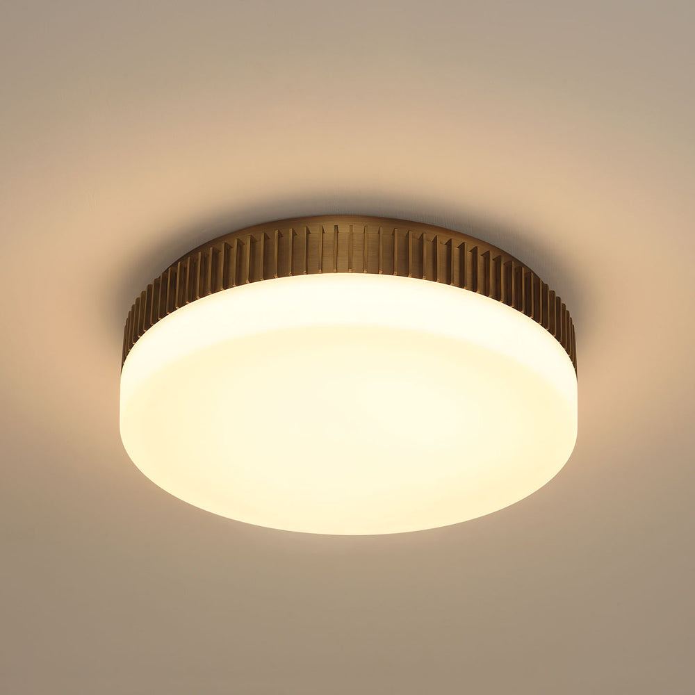 Purgos LED Flush Mount Ceiling Light in Detail.
