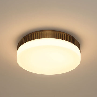 Purgos LED Flush Mount Ceiling Light in Detail.