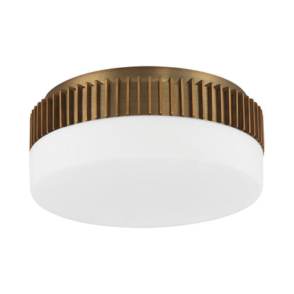 Purgos LED Flush Mount Ceiling Light in Detail.