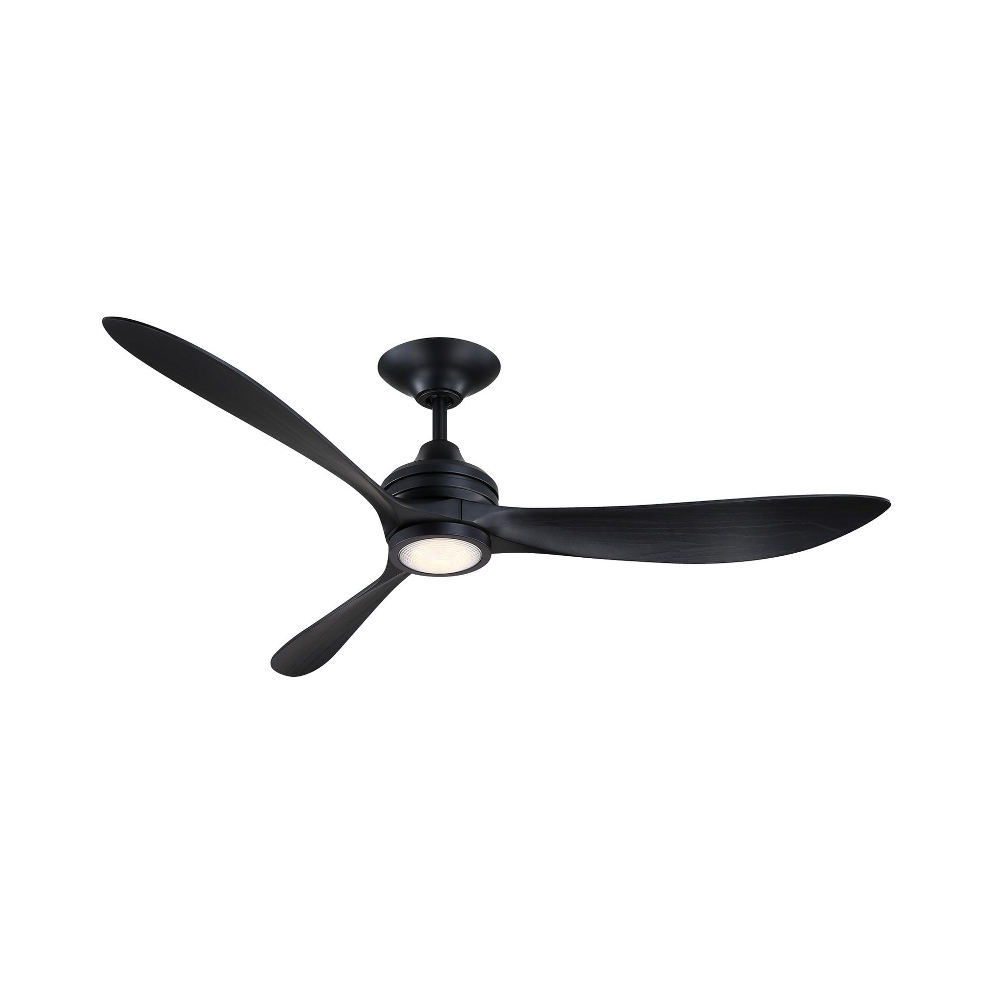 Aviara Indoor / Outdoor LED Ceiling Fan in Black/Black.