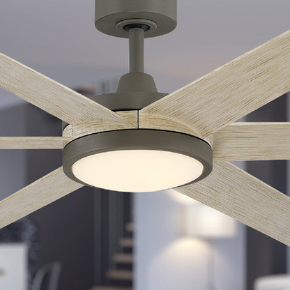Brawn Indoor / Outdoor LED Ceiling Fan in Detail.