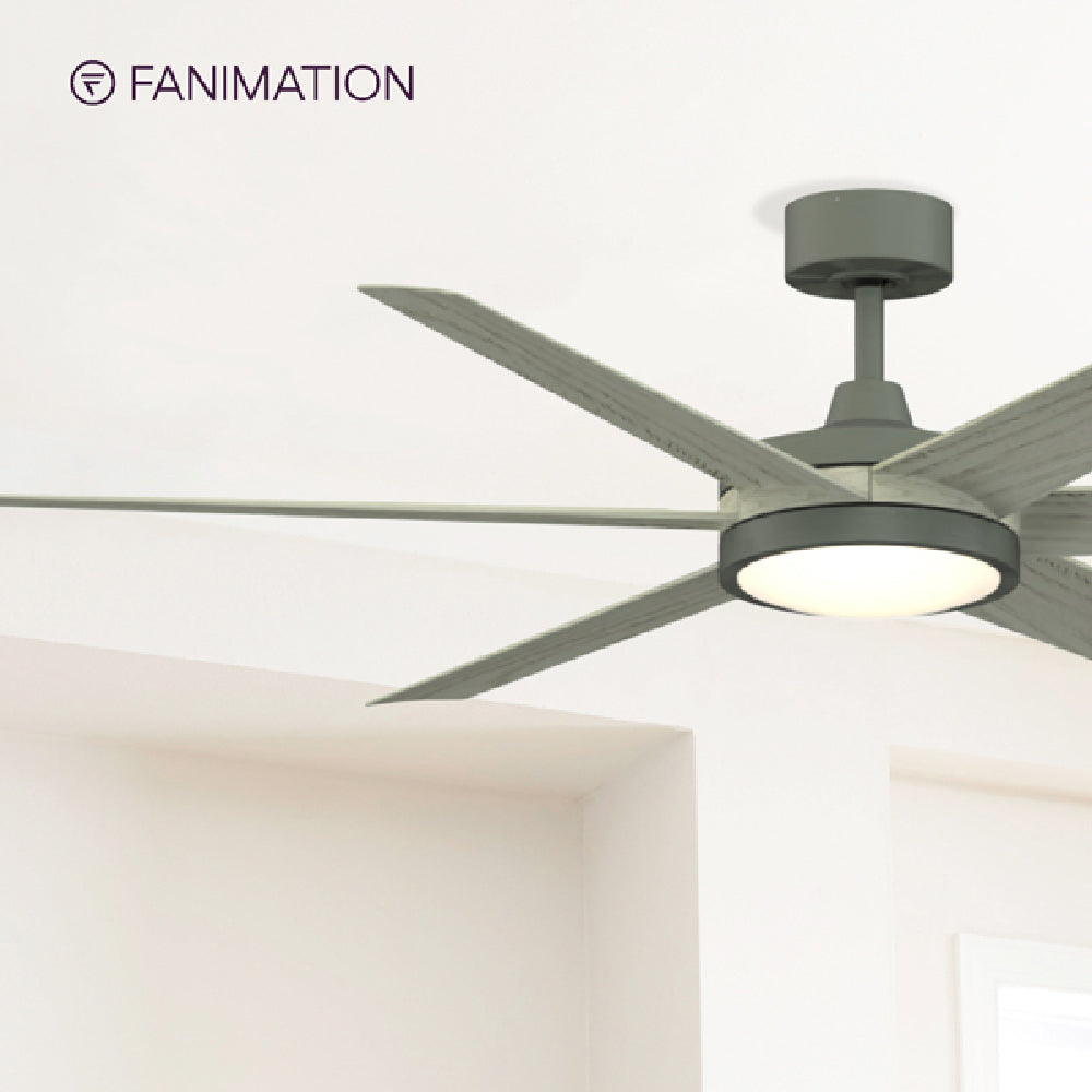 Brawn Indoor / Outdoor LED Ceiling Fan in Detail.